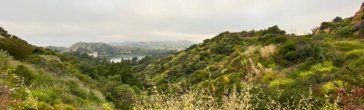 a view of a reservoir in the rolling hills of Los Angeles, California