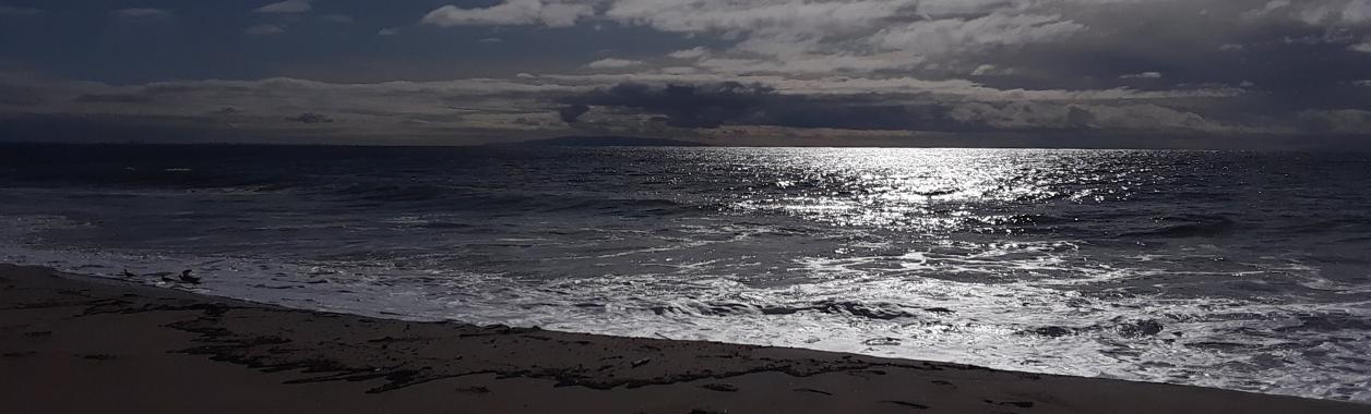 a shimmering sea scape in Malibu, California