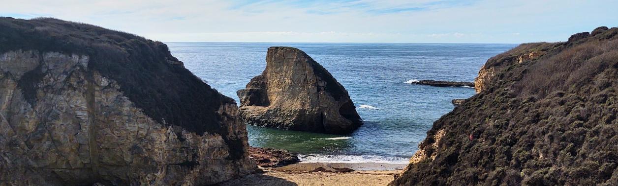a fin-shaped rock formation on the coast of California